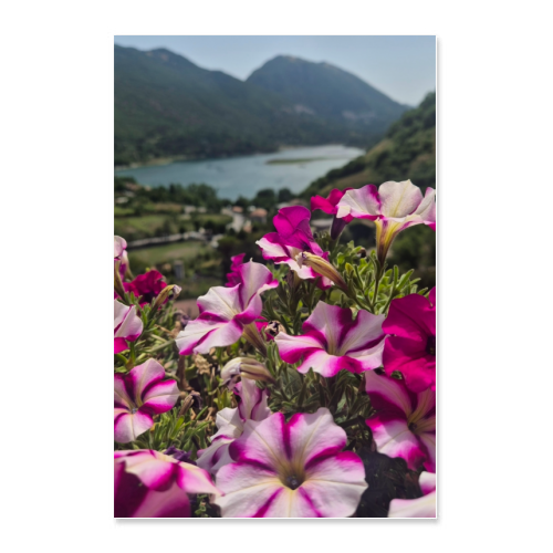 Poster 60x90