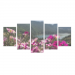 Canvas 5 Prints 49.90 &euro;