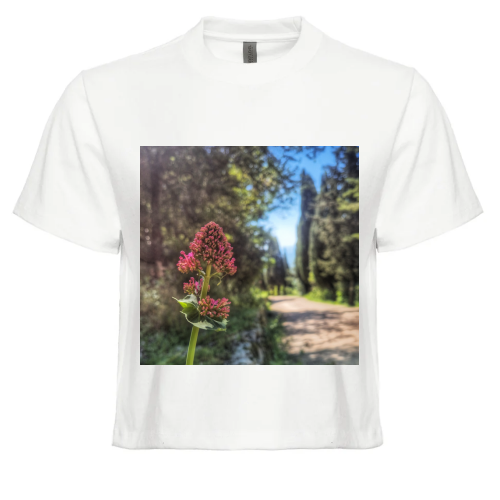 Top Crop Organico