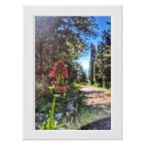 Poster con Cornice 20x30