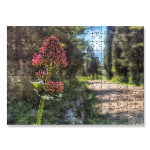 Puzzle 30x40