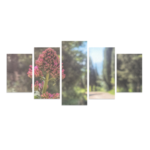 Canvas 5 Stampe