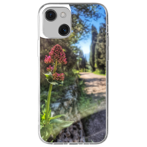 Cover Gomma iPhone 13
