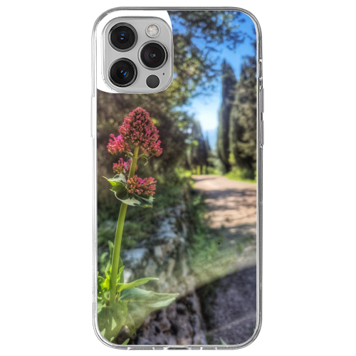 Cover Gomma iPhone 13 Pro