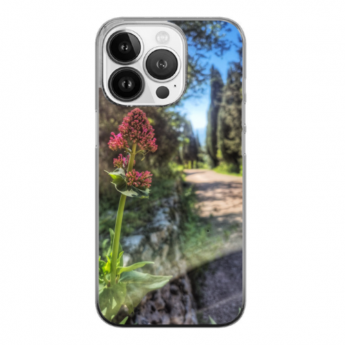 Cover Gomma iPhone 15 Pro