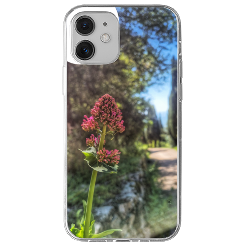 Cover Gomma iPhone 12