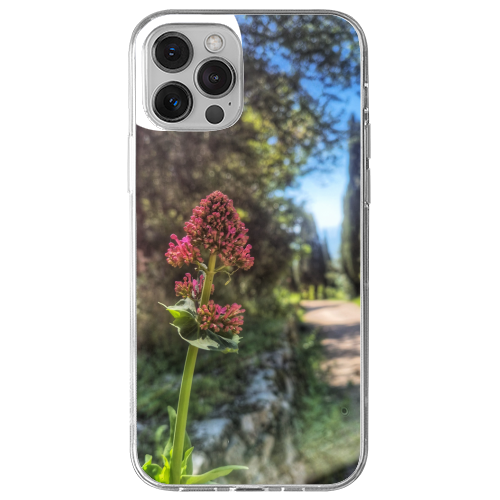 Cover Gomma iPhone 12 Pro