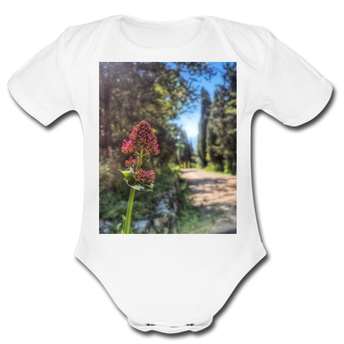 Body Bambino