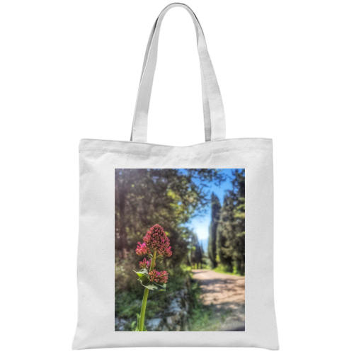 Borsa