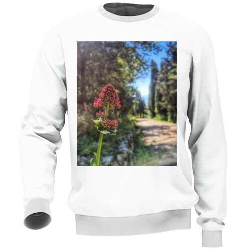 Felpa Unisex