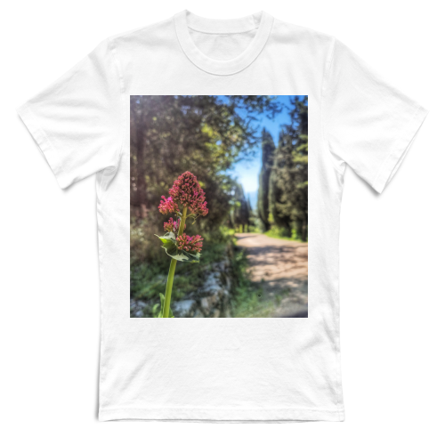 T-Shirt Bambino