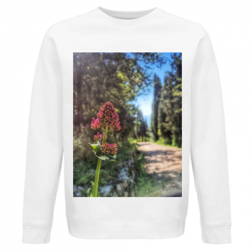 Felpa Unisex Organica