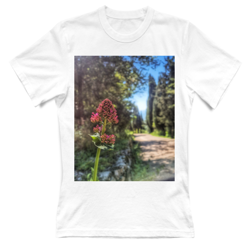 T-Shirt Donna