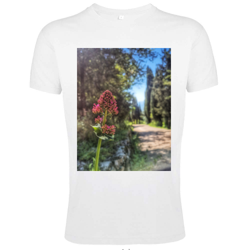 T-Shirt Men Fit