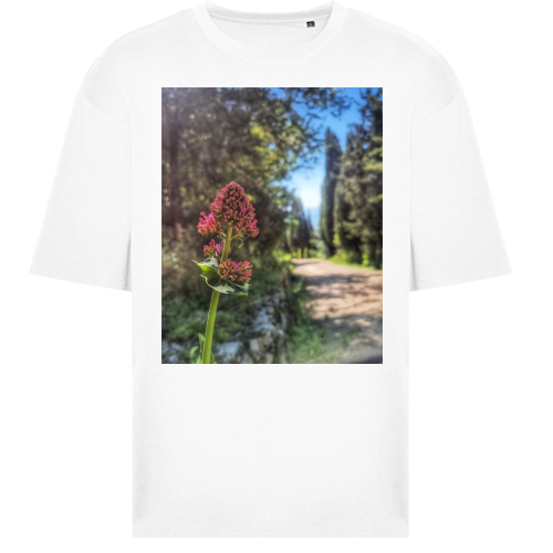 T-Shirt Oversize