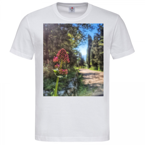 T-Shirt Men Premium 