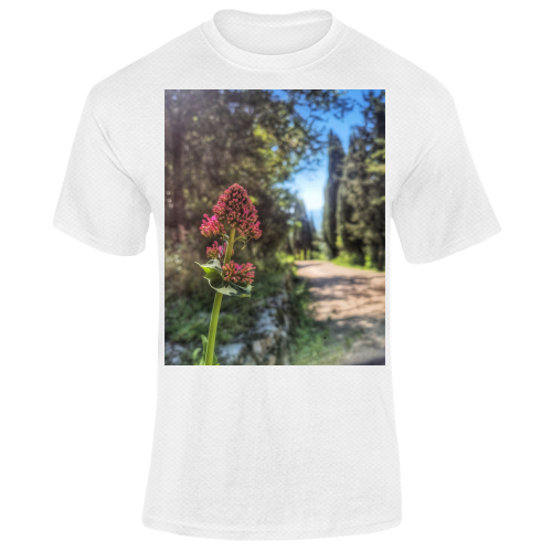 T-Shirt Unisex Dry Sport