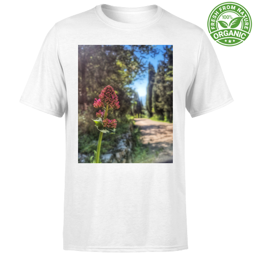 T-Shirt Unisex Organic