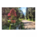 Canvas 45x30 31.25 &euro;