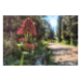 Canvas 60x40 62.50 &euro;