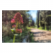 Canvas 90x60 87.50 &euro;