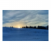 Canvas 45x30 31.25 &euro;