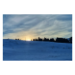 Canvas 60x40 62.50 &euro;