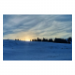 Canvas 90x60 87.50 &euro;