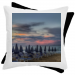 Bicolor pillow 19.90 &euro;