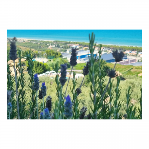 Canvas 45x30