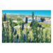 Canvas 60x40 62.50 &euro;