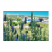 Canvas 30x20 29.90 &euro;