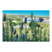 Canvas 45x30 31.25 &euro;