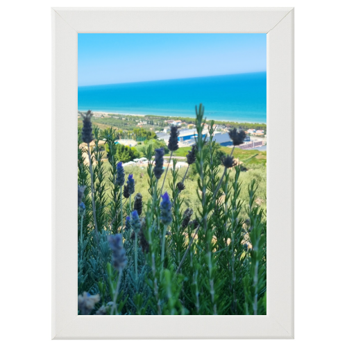 Poster con Cornice 30x45