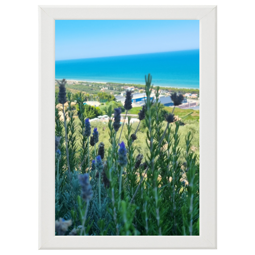 Poster con Cornice 40x60