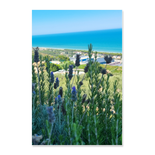 Poster 30x45