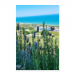 Poster 50x75 20.00 &euro;