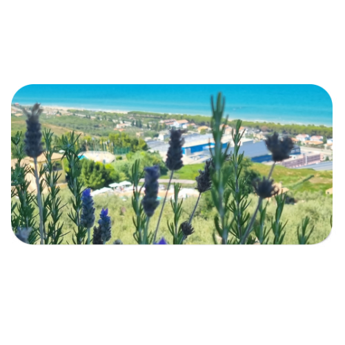 Mousepad XL