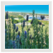 40x40 Framed Poster 99.75 &euro;