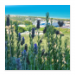 Poster 50x50 20.00 &euro;