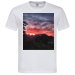 T-Shirt Men Premium  24.90 &euro;