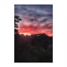 Poster 50x75 20.00 &euro;
