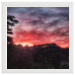 40x40 Framed Poster 99.75 &euro;