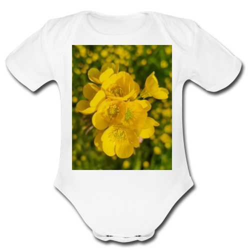 Body Bambino