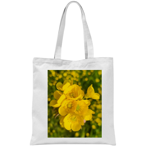 Borsa