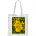 Borsa 17.50 &euro;