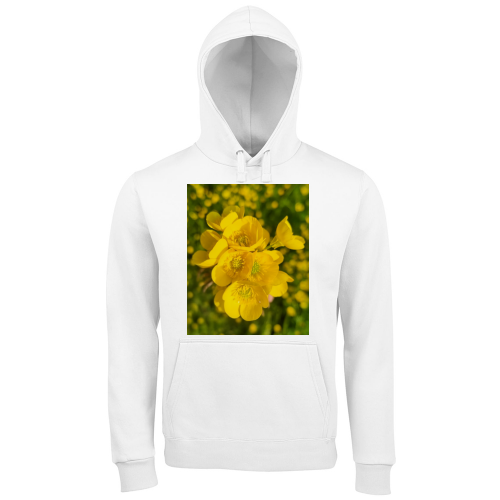 Hoodie Premium Men
