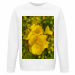 Unisex Organic Sweatshirt 45.00 &euro;