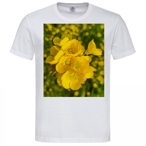 T-Shirt Men Premium 