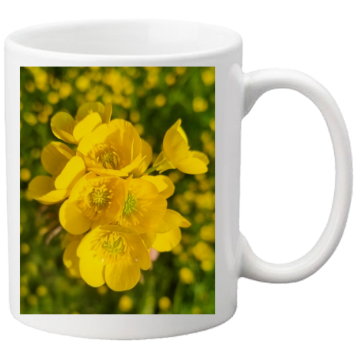 Tazza
